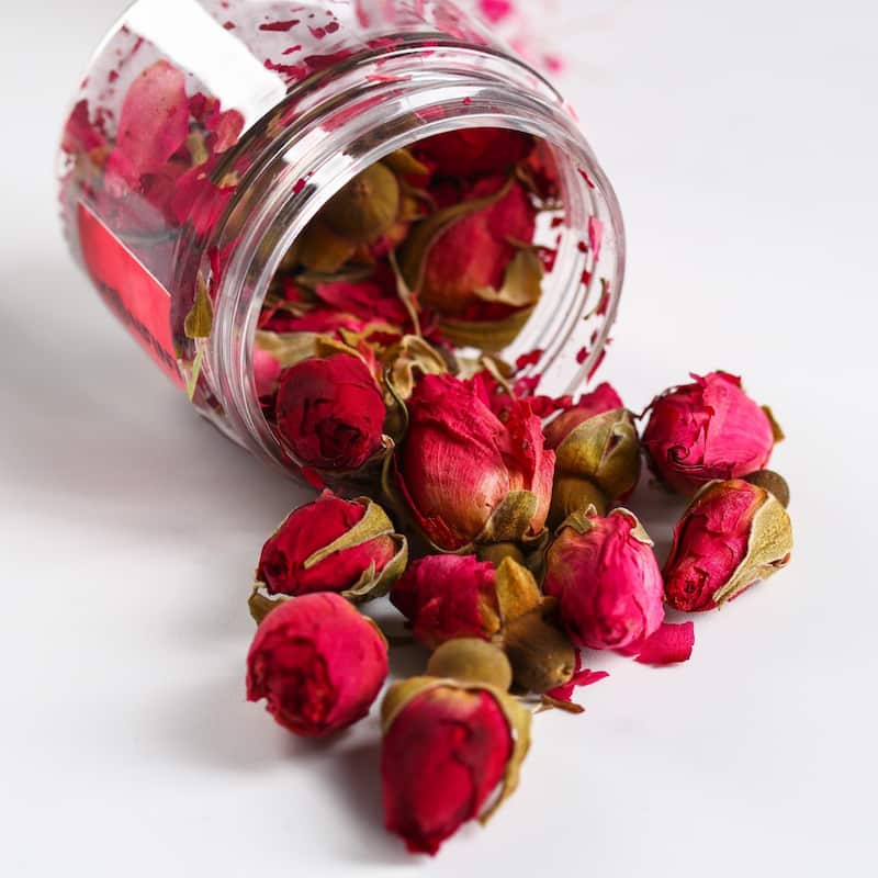 غنچه گل محمدی لاله زار کرمان با رنگ طبیعی و زیبا